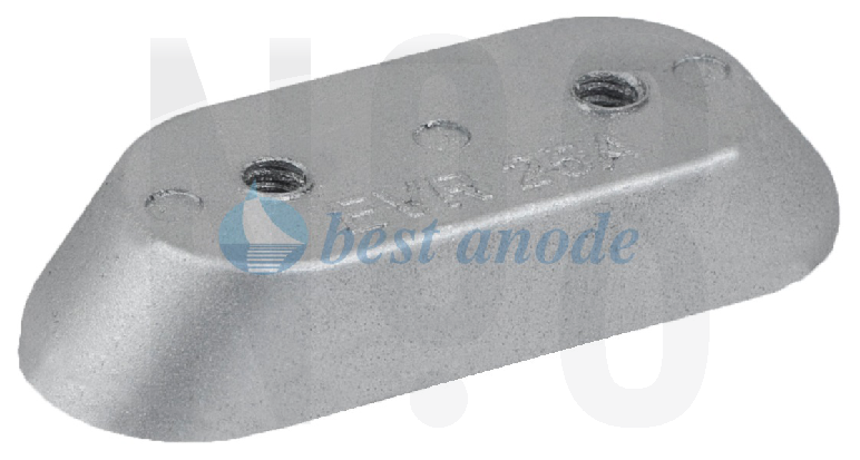 J/Evinrude Tutya EVR25 173029