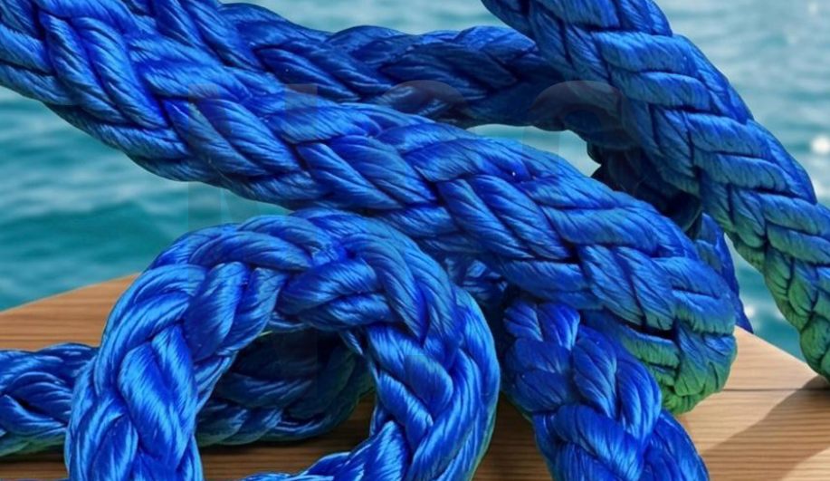 DORİS SEKİZ KOLLU VENÜS POLYESTER HALAT RENKLİ